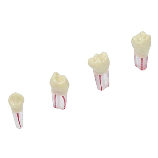 Diente De Endodoncia Blanco X Ud