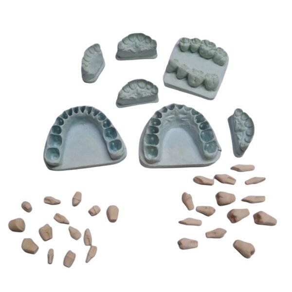 Kit Modelos Alveolares